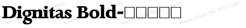 Dignitas Bold字体转换